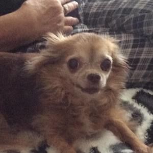 Meet your Posher, Sue